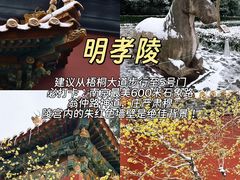 -应天大明王朝·南京菜(中山陵店)