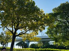 -宝安西湾红树林湿地公园