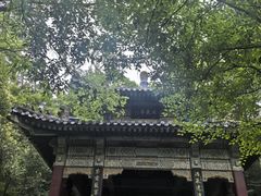 -紫霞湖公园