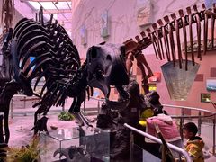 -陕西自然博物馆