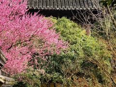 -慧因高丽寺