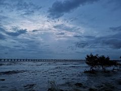 -宝安西湾红树林湿地公园