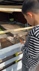 -小蜜蜂农场(凯德七宝购物广场店)