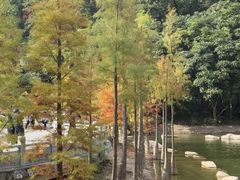 -广州市帽峰山景区