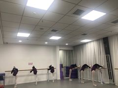 -西安小天鹅艺术团(金花路校区)