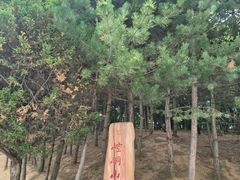 -崆峒山景区
