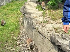 -宁波野生动物园