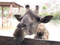 -石家庄市动物园