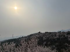 -白水寺森林公园