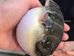 -观桥阁(锦溪店)