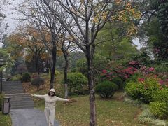 -东莞植物园