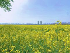 -汉长安城未央宫国家考古遗址公园