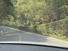 -平湖九龙山旅游度假区