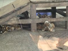 -秦皇岛野生动物园