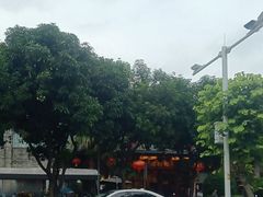 -滋粥楼·顺德菜(番禺广场总店)