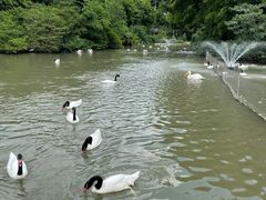 -广州长隆飞鸟乐园