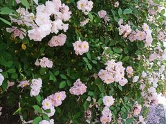 -杭州西湖风景名胜区-满觉陇四眼井