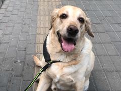 -紫光园·烤鸭·北京菜(劲松店)