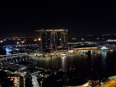 -新加坡瑞士史丹福酒店