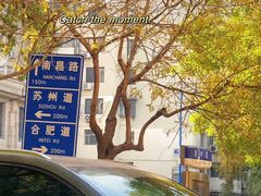 -陈记麻辣烫(浦口道店)