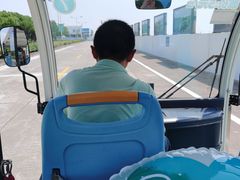 -碧海金沙