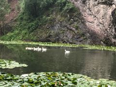 -紫海香堤香草艺术庄园