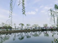 -无锡蠡湖国家湿地公园-蠡园