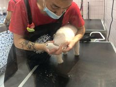 -FAELING PETS美天灵宠物(富力广场店)