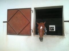 -松声马术俱乐部