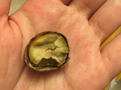 -阿男野栗王(金门路店)