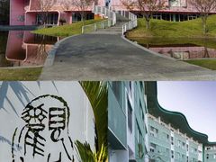 -杭州观成实验学校