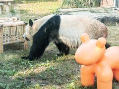 -苏州太湖国家湿地公园
