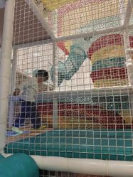 -奈尔宝·儿童乐园·亲子餐厅(鄞州万达店)