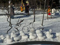 -横道河子东北虎林园