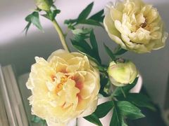 -兰溪小馆(东直门簋街店)