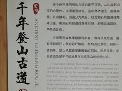 -北京鹫峰国家森林公园