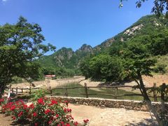 -大连天门山国家森林公园