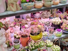 -循礼门鲜花花市(武汉循礼门店)