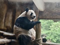 -常州淹城野生动物世界
