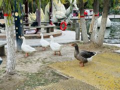 -水磨沟公园