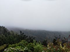 -玉苍山国家森林公园