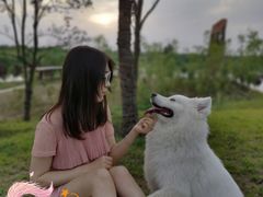 -洨河生态公园