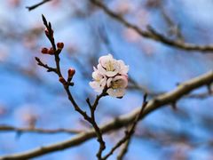 -松花湖风景名胜区