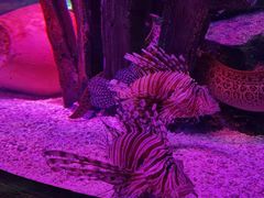 -沈阳海洋探索中心