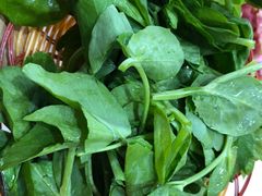 豌豆尖-阿婆情腊排骨火锅(金虹路店)