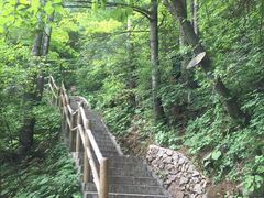 -秦岭天竺山景区