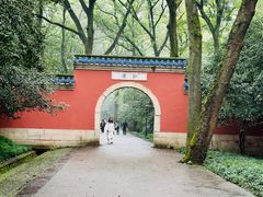 -灵谷景区