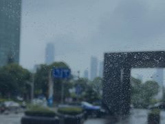 -丽晶轩中餐厅(重庆丽晶酒店)
