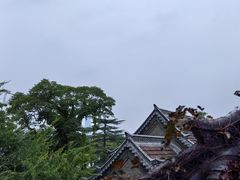 -济南大明湖景区