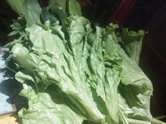 -房子红了鱼豆花重庆老火锅(广厦学院店)
